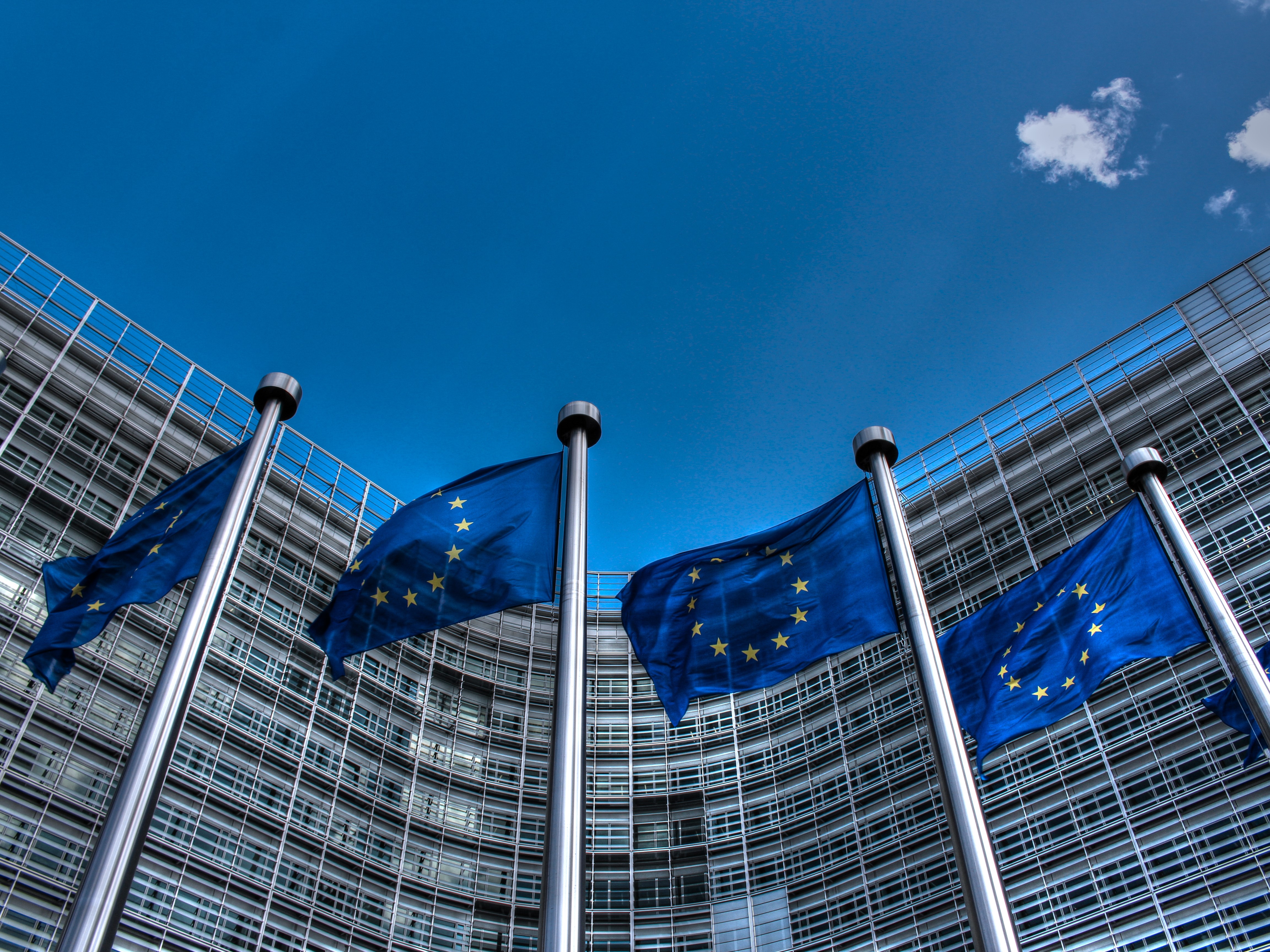 European Union flags flying in a row