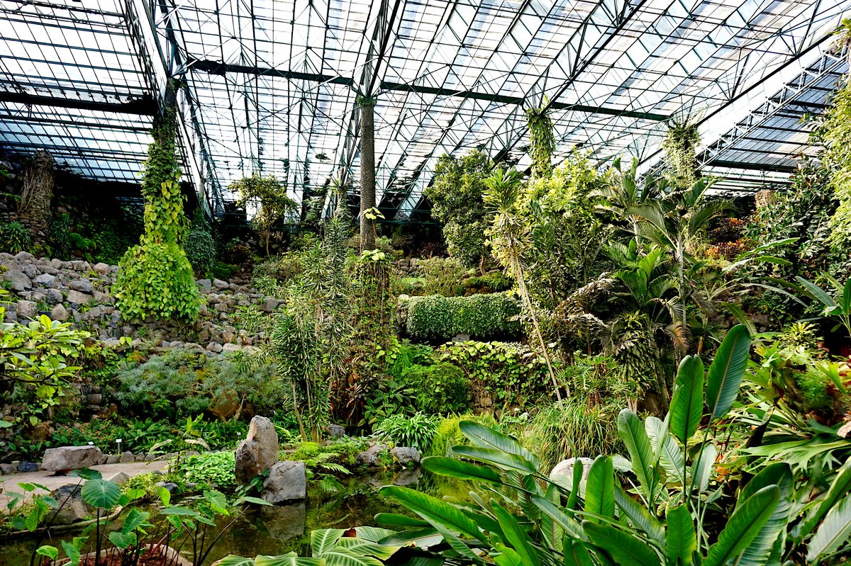 The Estufa Fria greenhouse in Lisbon, March 2025